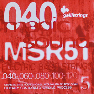 이테리 갈리 베이스 스트링 Galli String - MSR51 Regular - 5 strings (040-120)